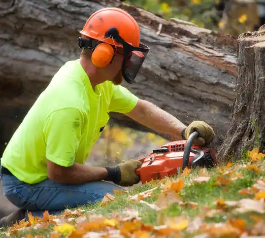 tree services Rolling Fork